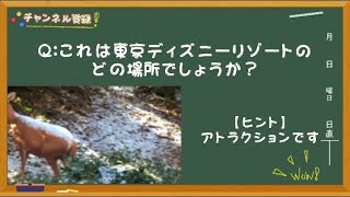 【雪！？】ディズニーのどこで撮影された写真！？《毎朝飯前クイズ！》