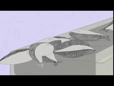 【大手前大学・大手前短期大学】PR動画「流されない」_大手前チャンネル（大手前大学・大手前短期大学）