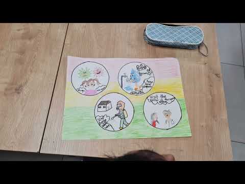 PYP Year 4 Summative Assessment