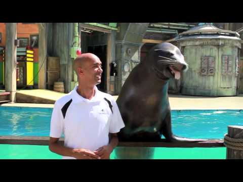 SA Goes Orange - SeaWorld San Antonio