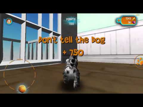 20 points in House 2 Upstairs ! #catsimulator