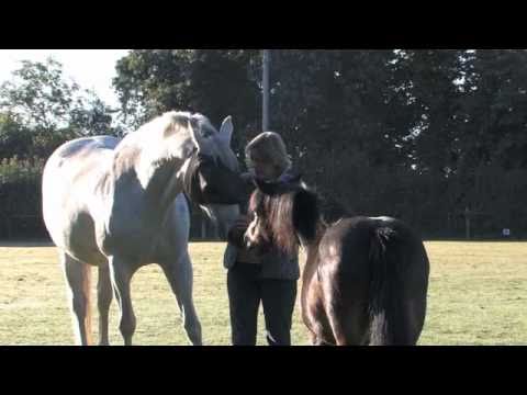 English Country Houses #3