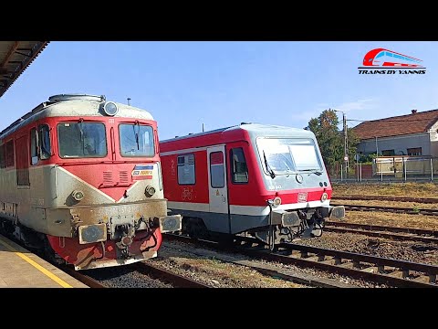 Trenurile Diminetii in Gara Oradea / Morning Trains in Oradea Station - 29 August 2024 🌄🚅