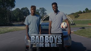 Los leones más buscados de Bilbao