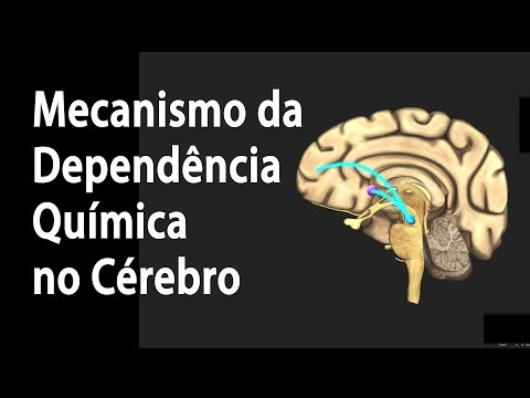 Mechanism of Chemical Dependency in the Brain. Alila Medical Media Portuguese.