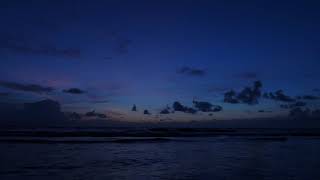 blur - optigan 1 (slow + reverb)