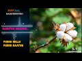 Karutha Machan Pudhu Nellu Pudhu Naathu ILAYARAJA 5 1 SURROUND BASS BOOSTED SVP Beats
