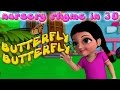 Butterfly Butterfly Flutter Around Butterfly Butterfly Nursery Rhyme Rhymes N Songs