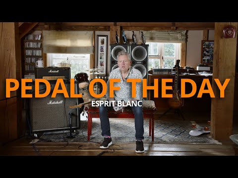 Sola Sound Tone Bender Mark IV Esprit Blanc by David Main 2023 image 7