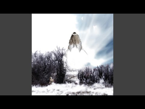 Searching for Angels