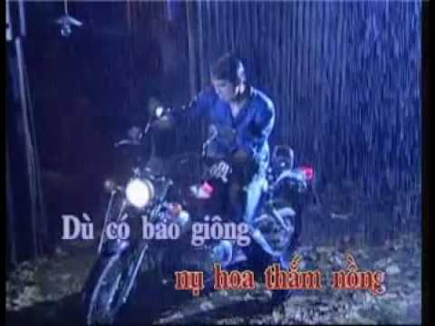 Đêm tình yêu - Lâm Hùng