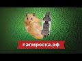 Tobeco Super Tank RDA - обслуживаемый бакомайзер - превью 6hLciRtI124