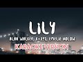 Karaoke,-Alan Walker Lily