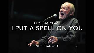 I Put A Spell on You -Backing Tack - Joe Cocker Version