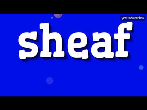 SHEAF - You won't believe how to pronounce 'sheaf' correctly! Is it 'shEEf' or 'shAYf'? 🤔🔊