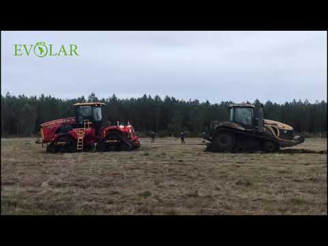 Evolar.md  Versatile 610DT vs Challenger MT865C