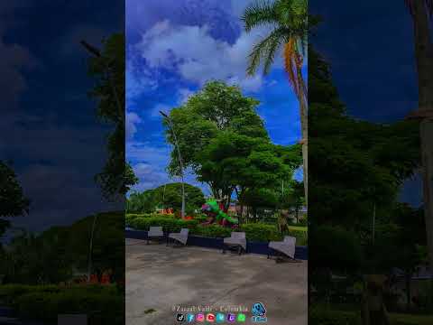 Zarzal Valle del Cauca 🏵️🦎......#elghost👻 #alexghost12 #paisajes #reels #zarzalvalledelcauca