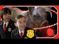 Santa Lost His Reindeer Odd Squad To The Rescue
