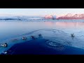 Sikaflex 2c NS Arctic Teaser