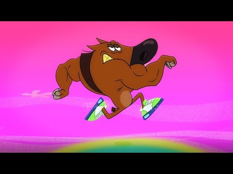 Zig & Sharko 🏃‍♂ ZIG is a perfect RUNNER 🏃‍♂ SPORTS 2019 compilation 🍍 Cartoons for Children