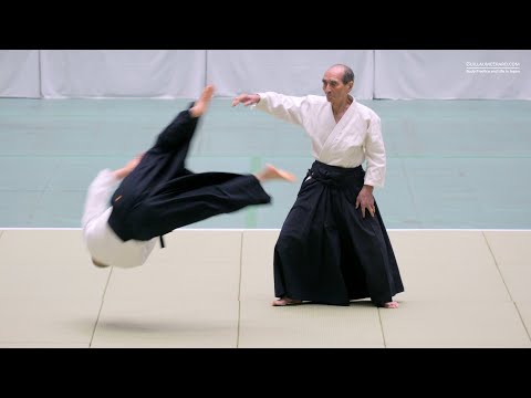 TADA Hiroshi Shihan 9th dan - 62nd All Japan Aikido Demonstration