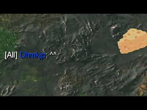 A Friendly Ladder Exchange