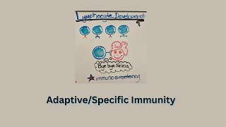 Acquired Immunity