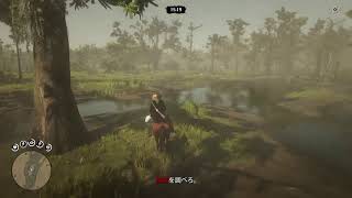 RDR２　３