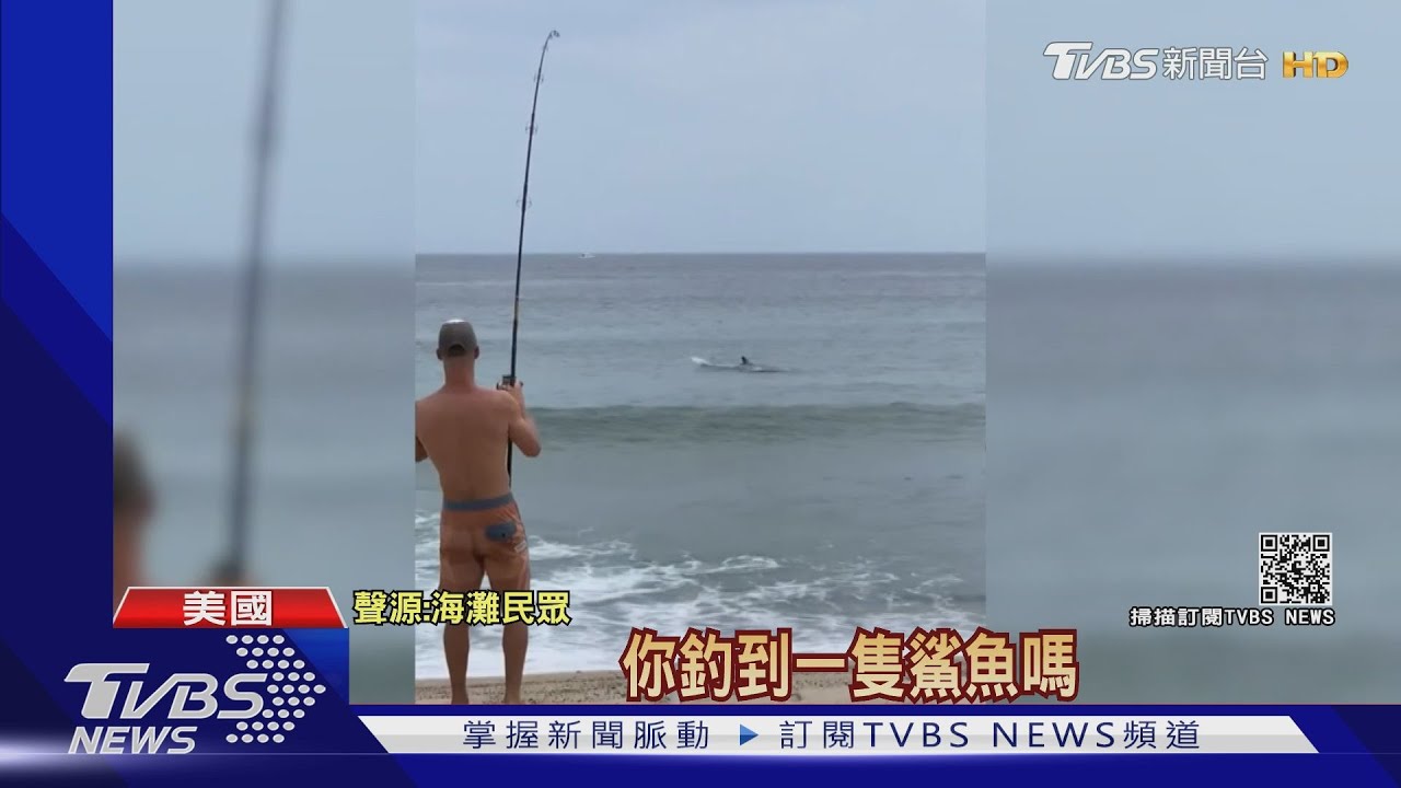 釣魚釣到大白鯊! 驚奇體驗美釣客嚇傻眼