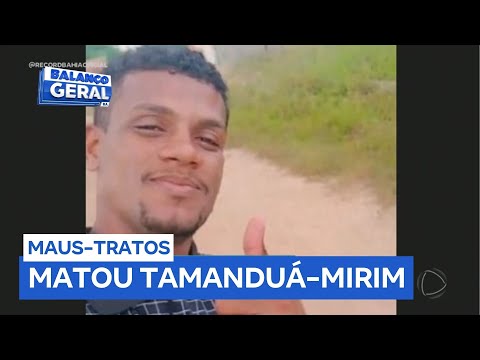 Homem que agrediu tamanduá ferido em Itapebi (BA) é indiciado por maus-tratos