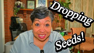 DROPPING Seeds For A Beautiful Garden!