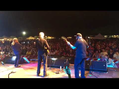 20° BRUDSTOCK - CANNED HEAT