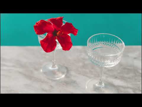 Ricardo Piedra - Hybiscus (Roberto Caceres Unofficial Remix)