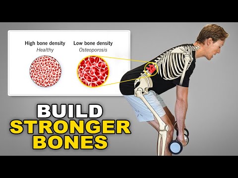 Best Exercises to Increase Bone Density (Osteoporosis & Osteopenia)