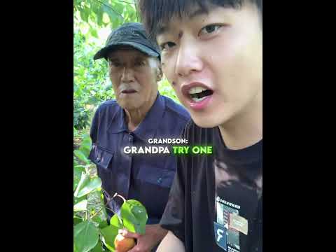Grandpa Just Played along for His Grandson❤️‍🩹