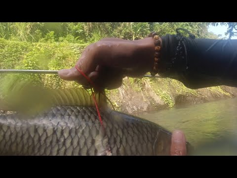 SE03EP046 Part 2 - The ULTIMATE KARPA MADNESS! - PAKIKIPAG BUNO sa KARPA | San Pablo City, Laguna