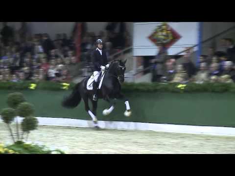 Tolegro by Totilas - Krack C / Stallionshow Vechta 2015 / Böckmann Pferde