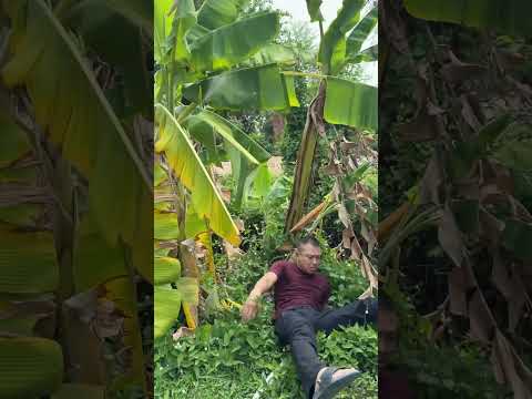 Got countered. #funny