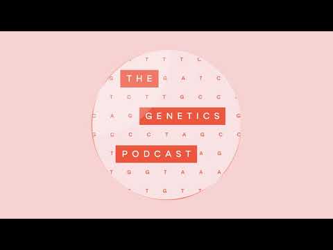 Behind every data point is a person with Dr Paul Wicks