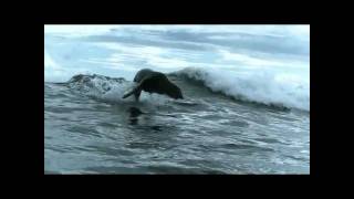 The Boss Hoss  - My Country [HD] * Rammstein - Mein Land - Single