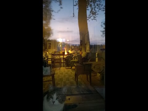 Nad celou nedělí - Lucie Dlabolová (text Ján Sedal)