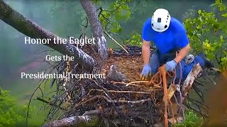 DC4 Rescued from DC Eagle Cam Nest