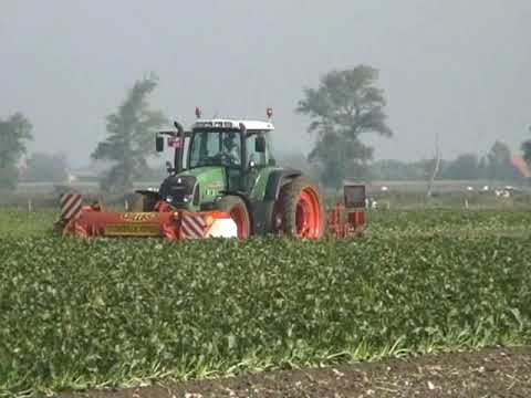 Patfoort: Bieten rooien.