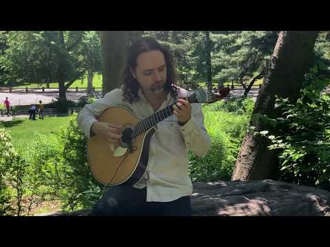 "Here Comes the Sun" on Portuguese guitar at Strawberry Fields (NYC)