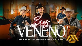 Eres Veneno Lyrics English Translation
