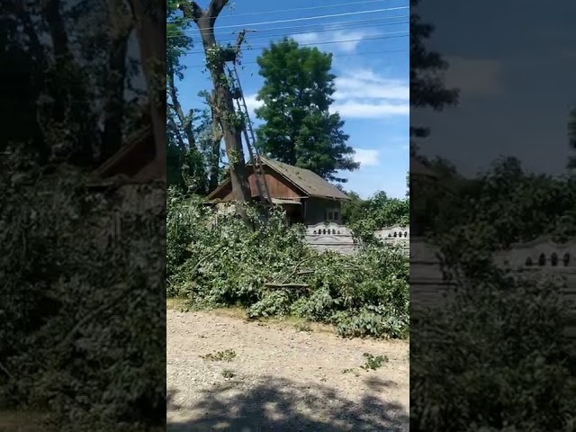 Фото Выполним работы :
1)Спил деревьев по частям.
2)Заготовка дров;
3)Распиловка на чурки.
4)Обрезка сада,виноградника;
5)Возможен вывоз;
Работаем с деревьями---любой
сложности!!
Свою работу выполняем:
добросовестно и максимально быстро.В обрезке или спиле сложного дерева где есть:
провода,крыши,заборы,газовые трубы и тому подобное ,работу выполняем окуратно как с применением вышки,так и при помощи промышленного альпинизма с опытом работы более 7 лет.Цена работы зависит от сложности и от объема вашего дерева,сада или же виноградника,ветки оставшиеся после обрезки складываем в кучу. Выезд для оценки ,осуществляем бесплатно!
Добрых вам плодов и хороших,цветущих садов!!
