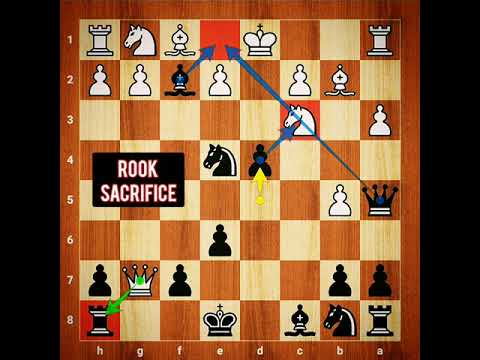 Sacrificing almost all the pieces to create an immortal 🔥🔥 "Carl Schlechter's immortal"