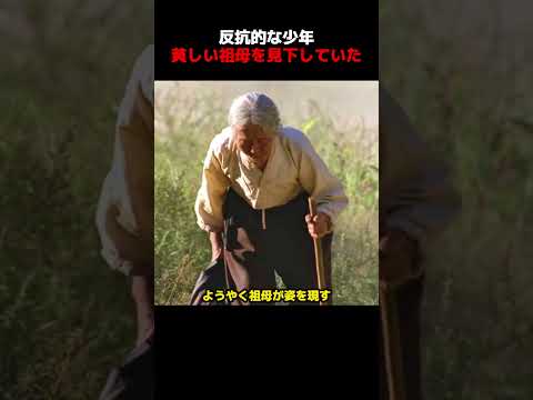 祖母を嫌っていた少年、やがて自らの過ちに気づく！