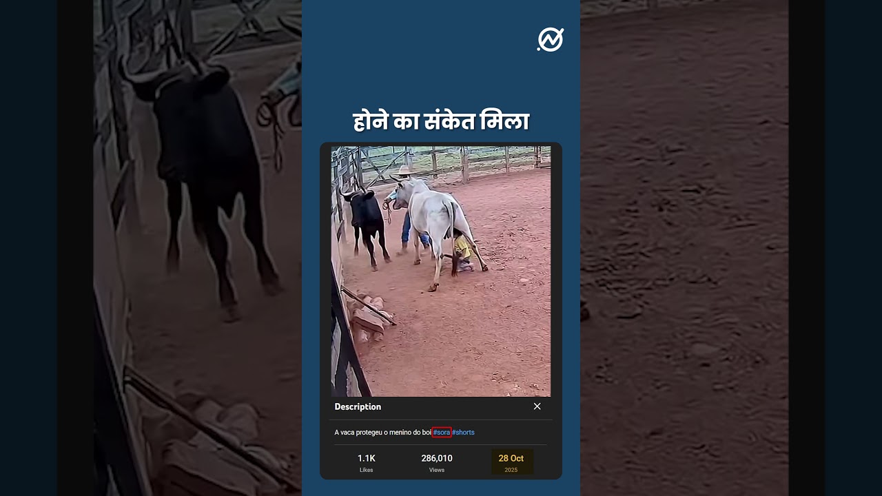 सांड ने बच्चे पर हमला किया… और गाय ने बचाया? 🐄 🚫