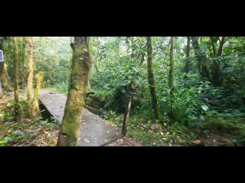 Cascada de la vida, Canton Mera, Provincia Pastaza